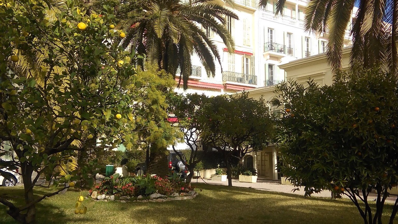 Photo of Outdoor in Old Town
