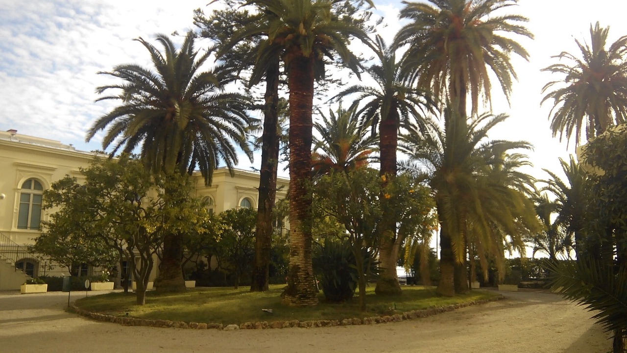 Photo of Outdoor in Old Town