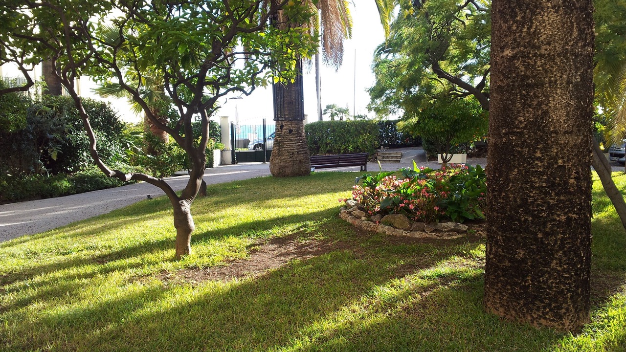 Photo of Outdoor in Old Town