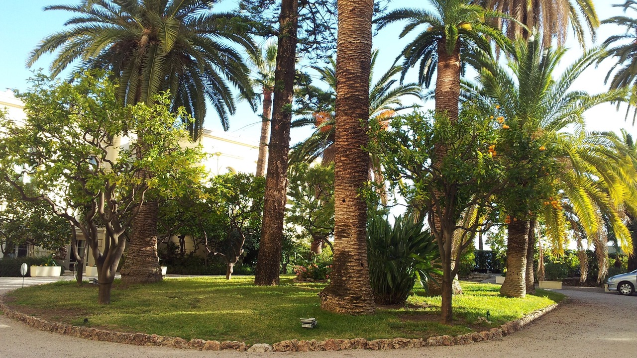 Photo of Outdoor in Old Town