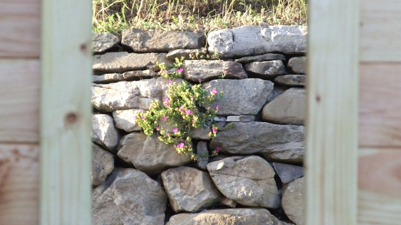 Photo of Outdoor in Puy-Saint-Eusebe