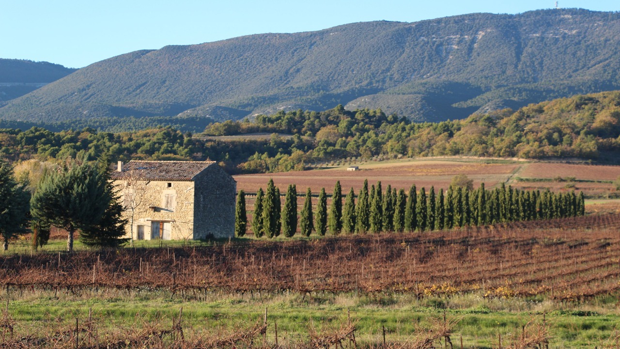 Photo of Outdoor in Cabrieres-dʼAigues