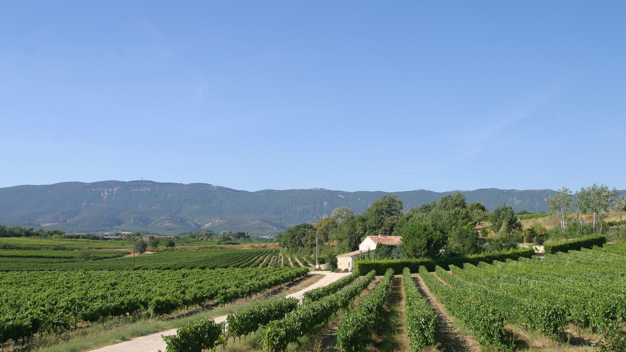 Photo of Outdoor in Cabrieres-dʼAigues