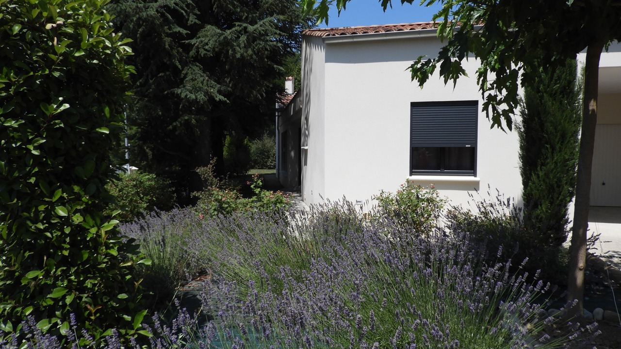 Photo of Outdoor in Mallemoisson