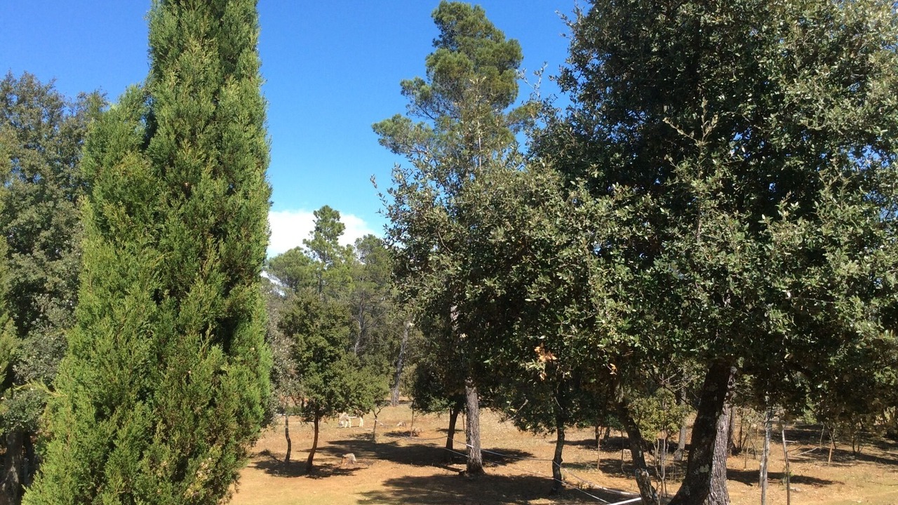 Photo of Outdoor in Sillans-la Cascade