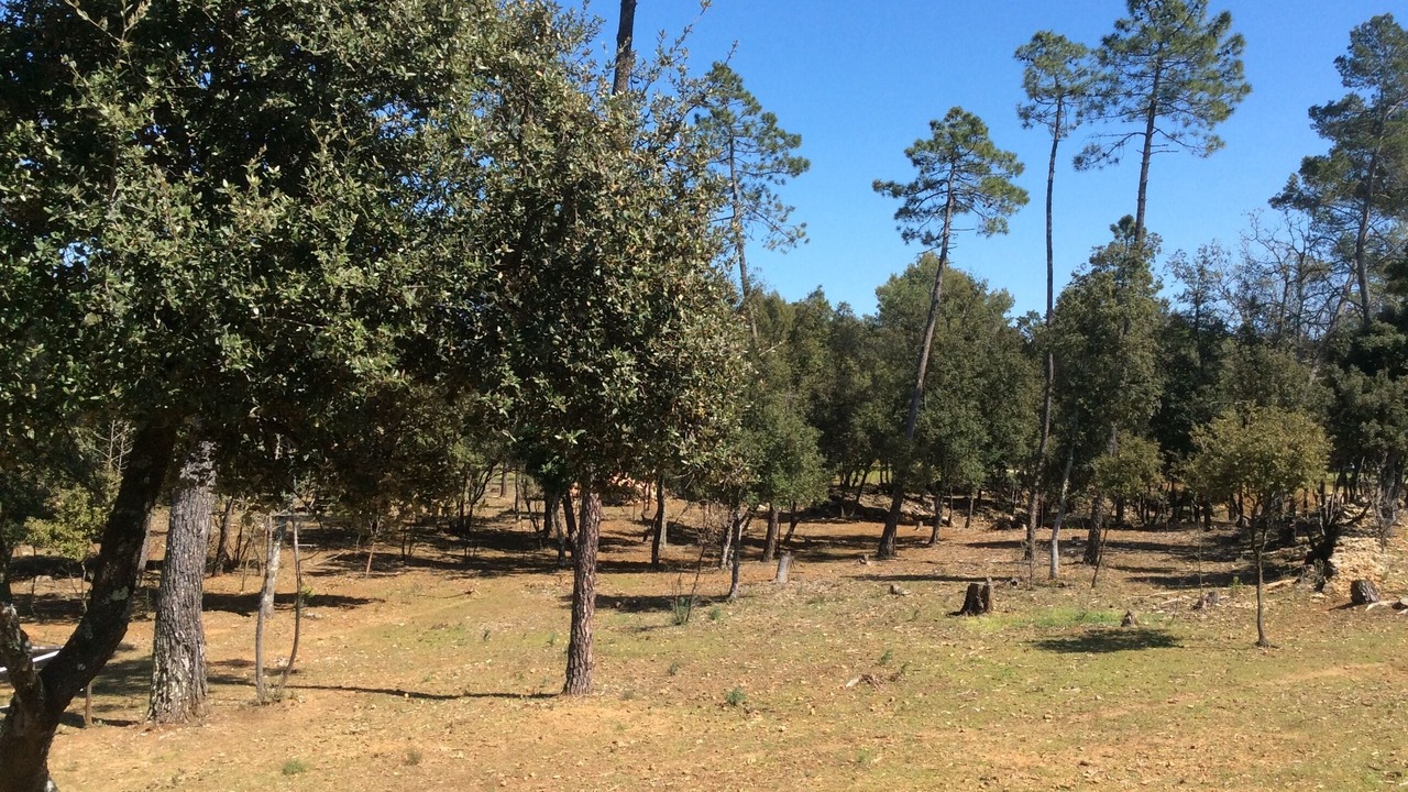Photo of Outdoor in Sillans-la Cascade
