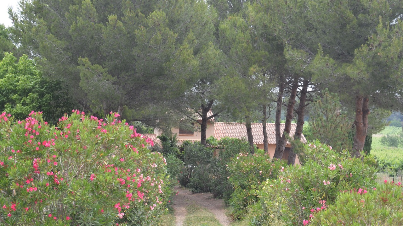 Photo of Outdoor in Pinet