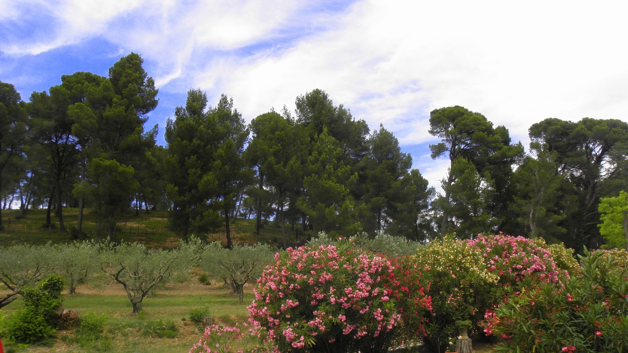 Photo of Outdoor in Maussane-les-Alpilles