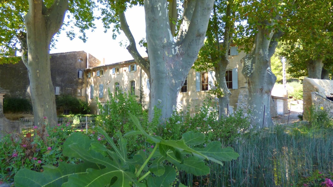 Photo of Outdoor in Maussane-les-Alpilles