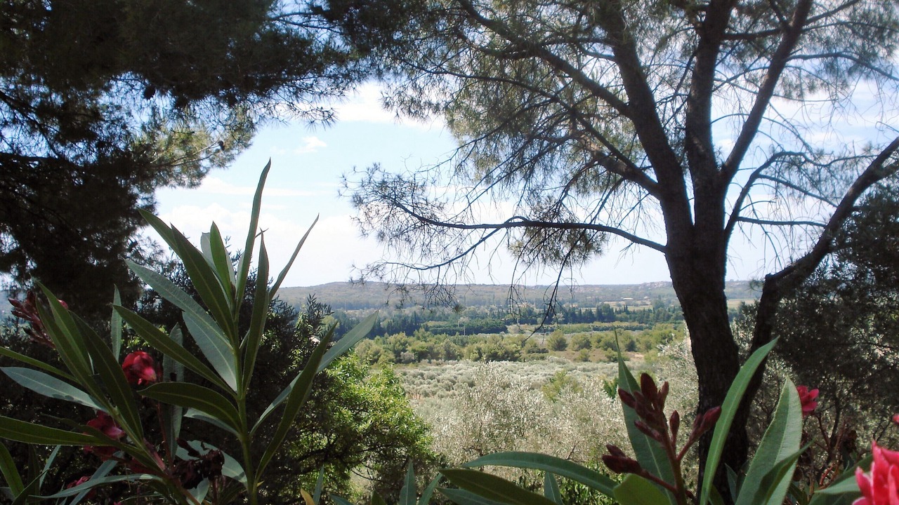 Photo of Outdoor in Mouries