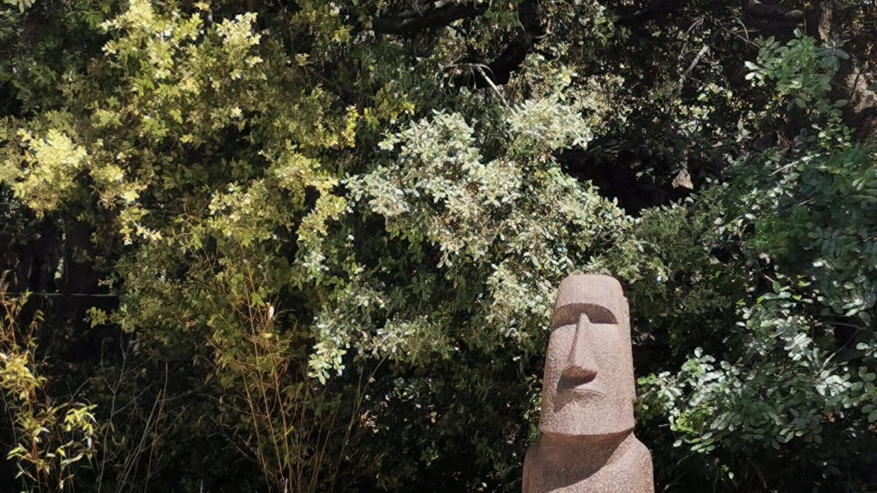 Photo of Outdoor in Lorgues