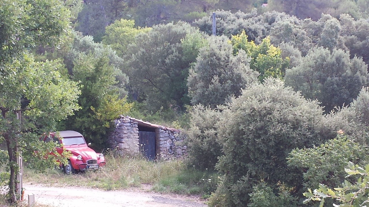 Photo of Outdoor in Lorgues