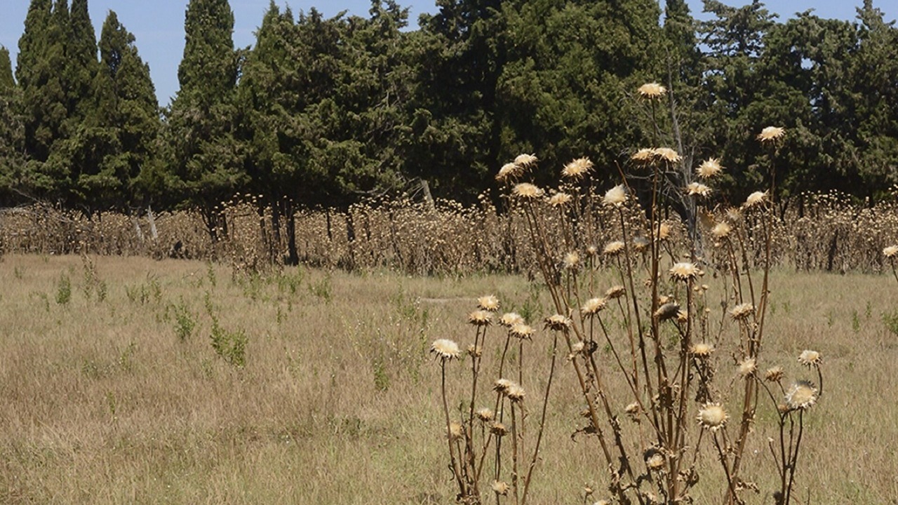 Photo of Outdoor in Arles