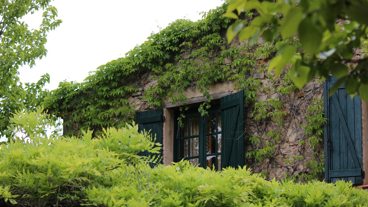 Photo of Others in La Haute Maure