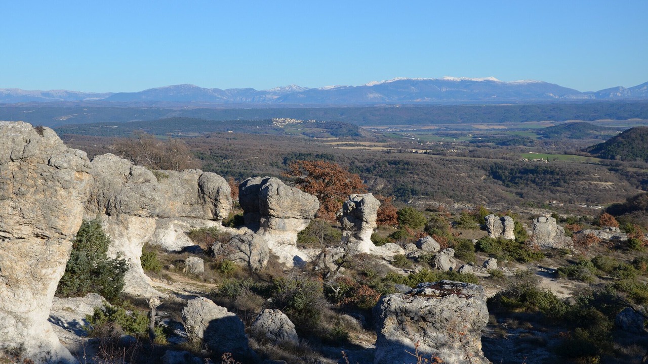 Photo of Others in Forcalquier