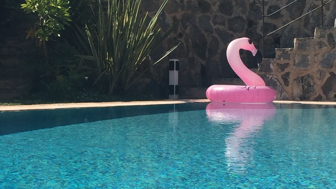 Photo of Outdoor in Biot