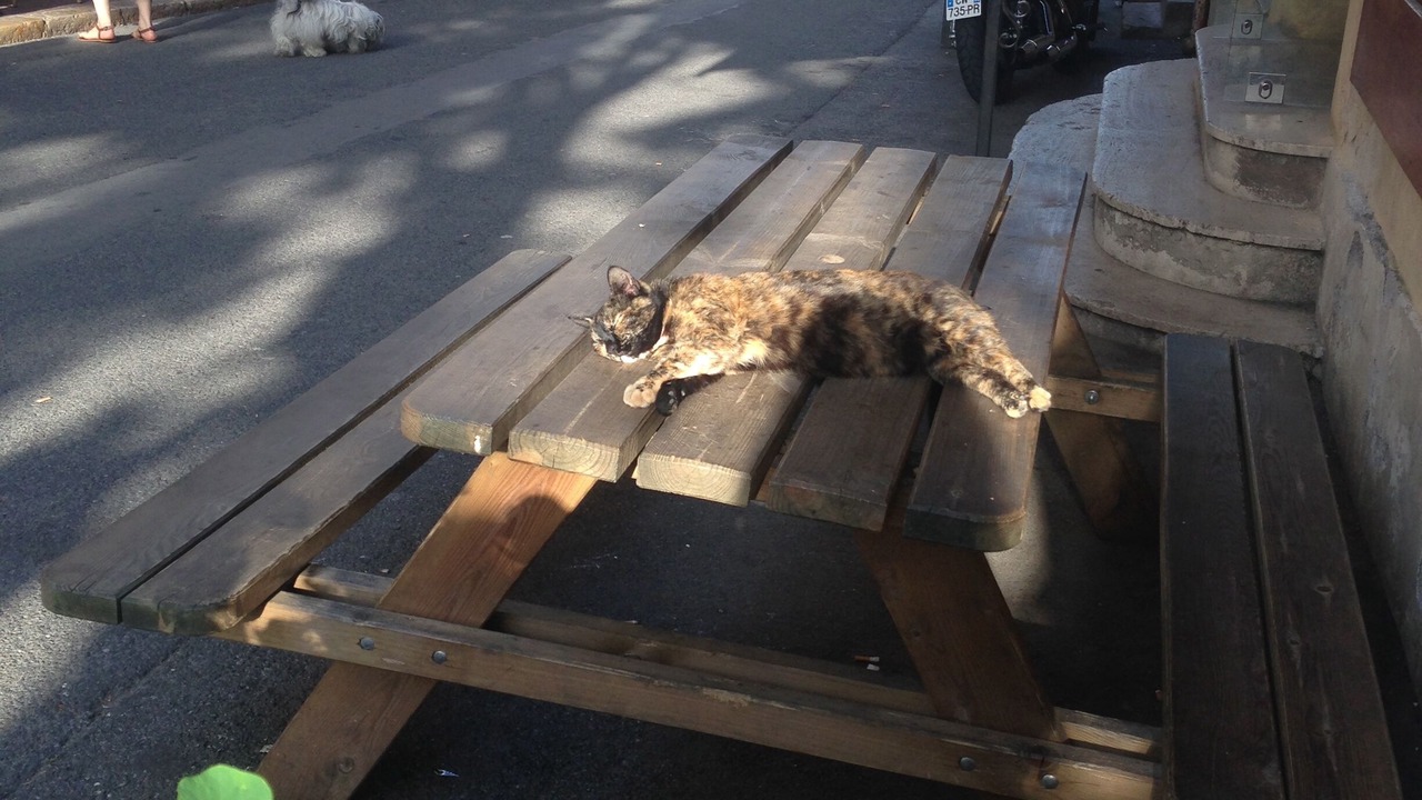 Photo of Others in Biot