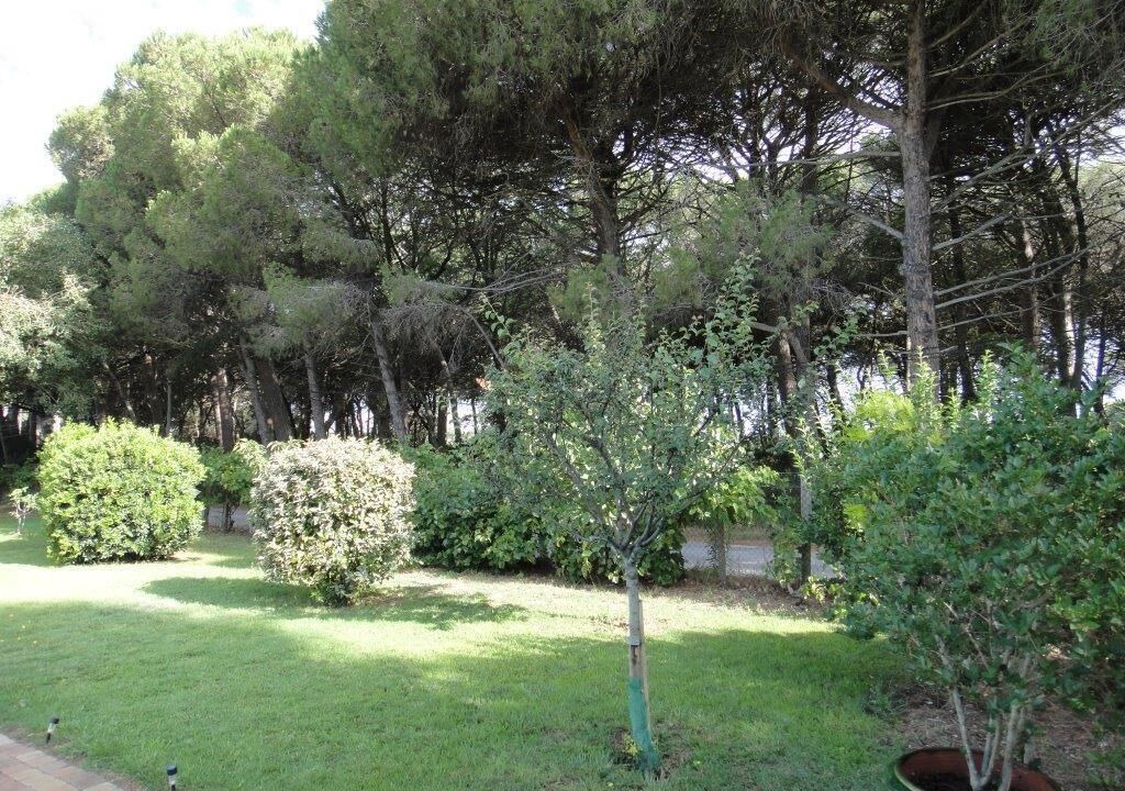 Photo of Outdoor in Aigues-Mortes