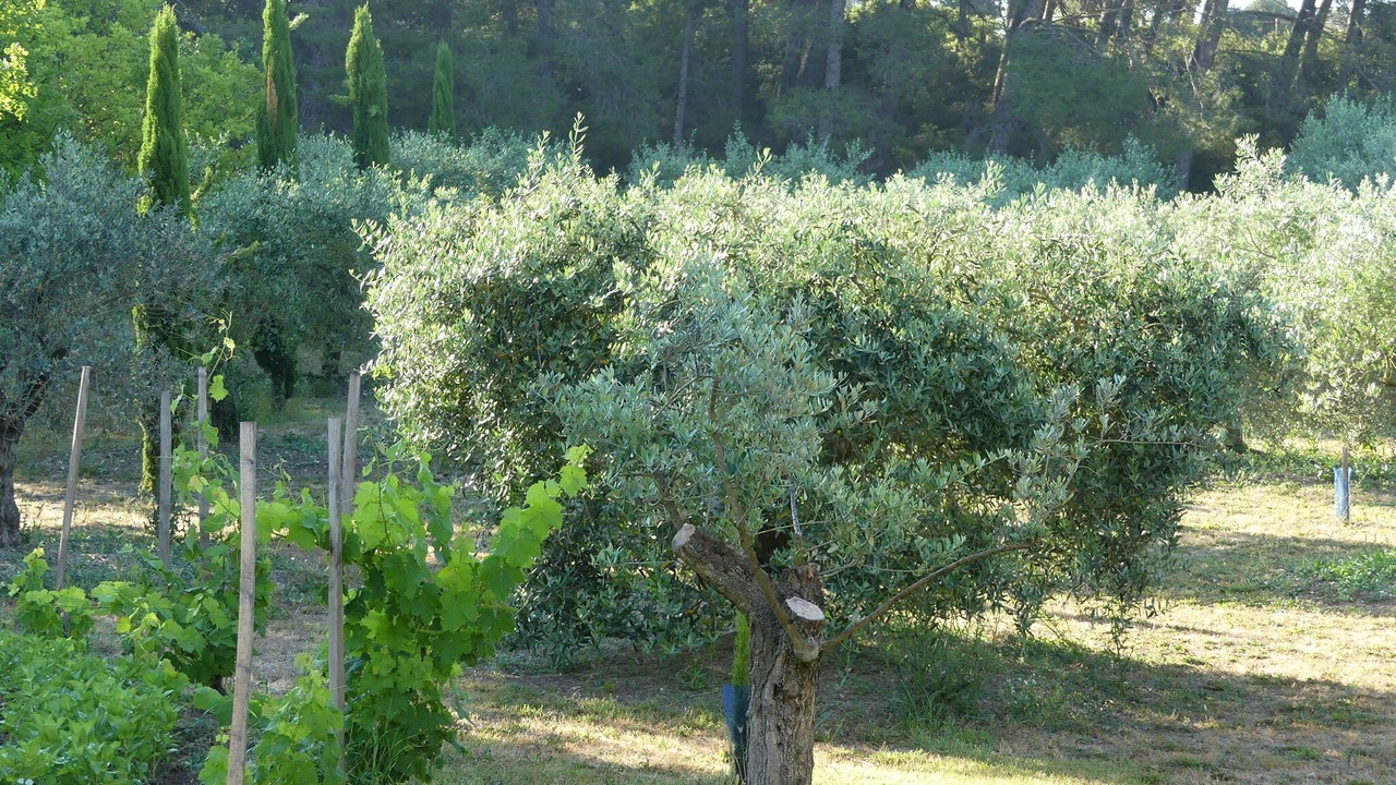 Photo of Outdoor in Ventabren