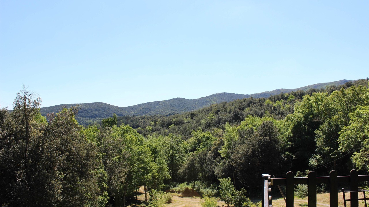 Photo of Others in Laroque-de-Fa