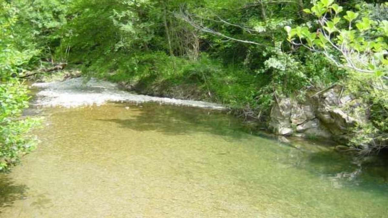 Photo of Outdoor in Laroque-de-Fa