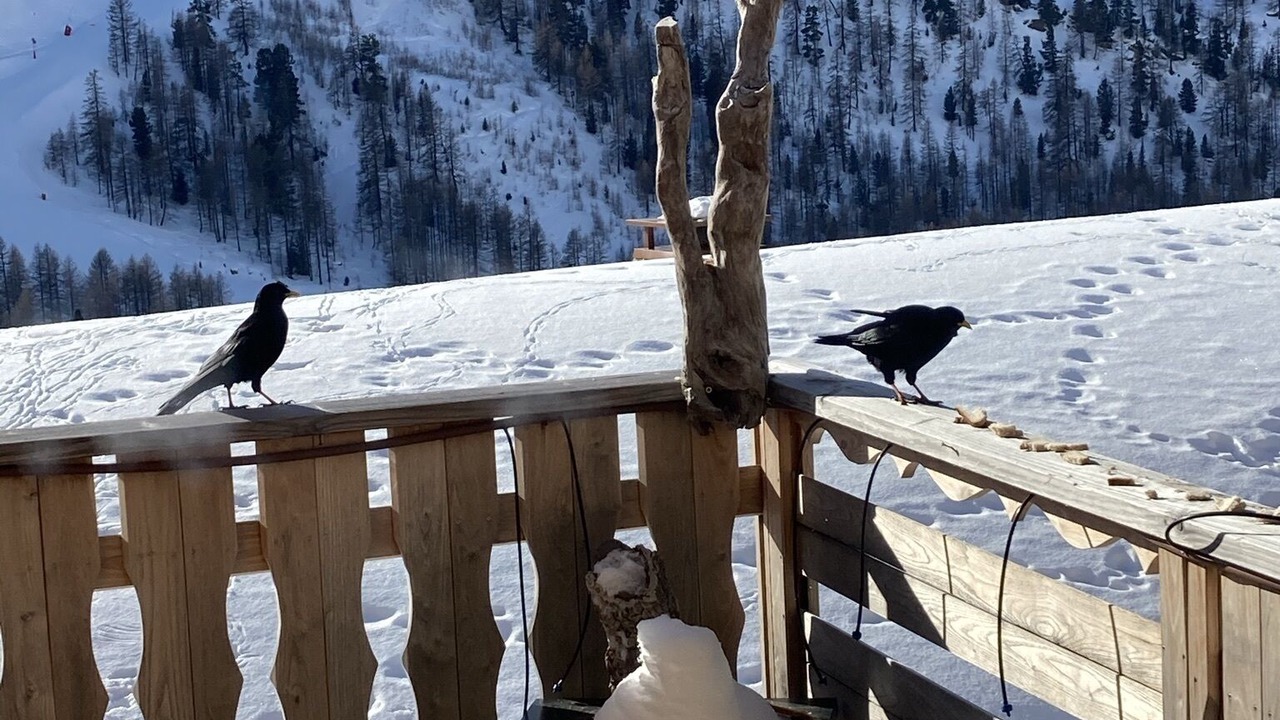 Photo of Outdoor in Isola