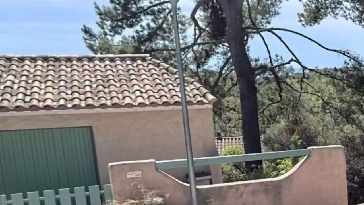 Photo of Others in Hyeres