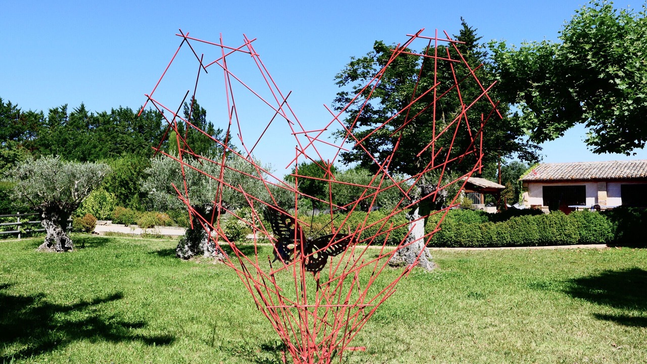 Photo of Outdoor in Cavaillon