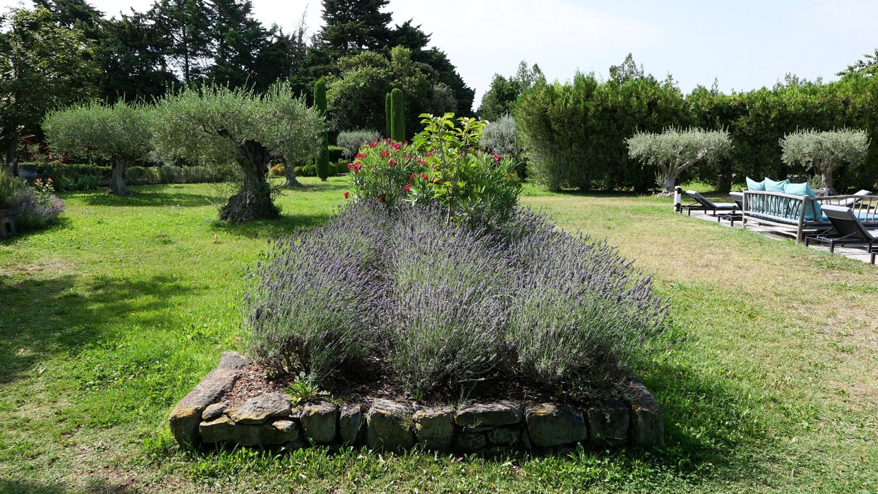 Photo of Outdoor in Cavaillon