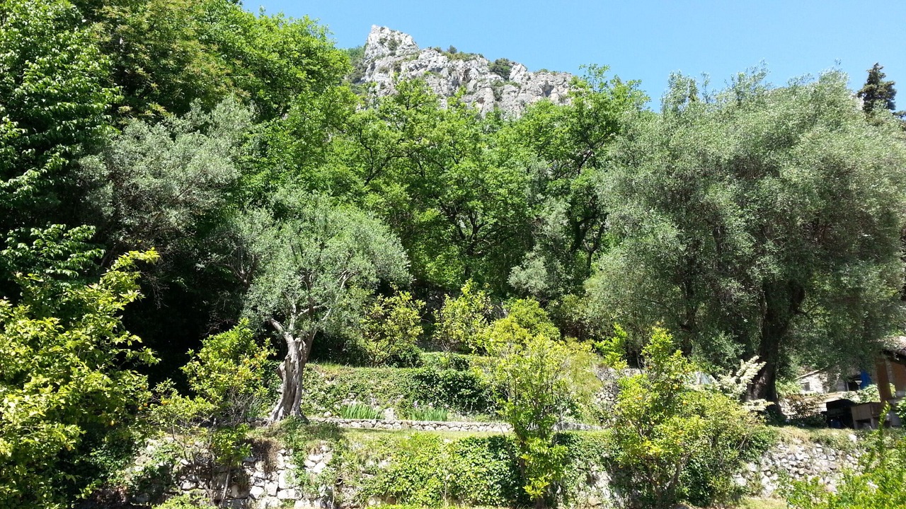 Photo of Outdoor in Pont du Loup