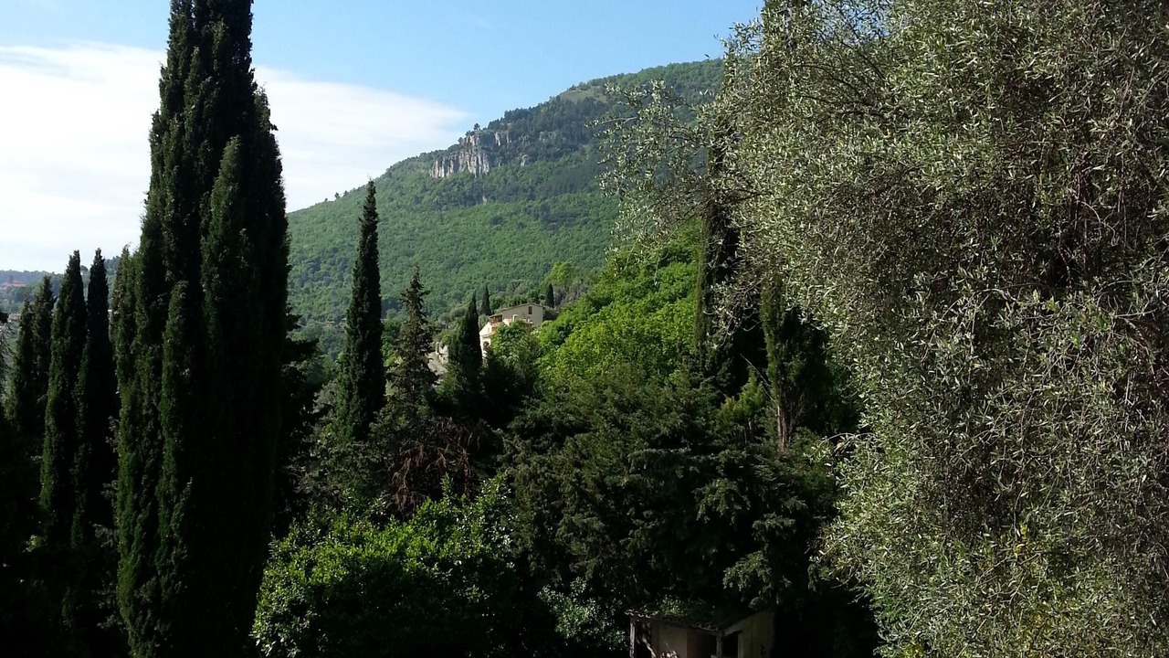 Photo of Outdoor in Pont du Loup