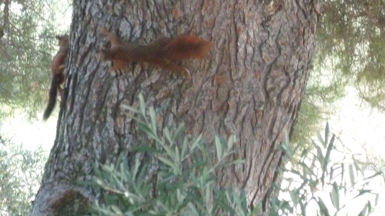 Photo of Outdoor in Mouries