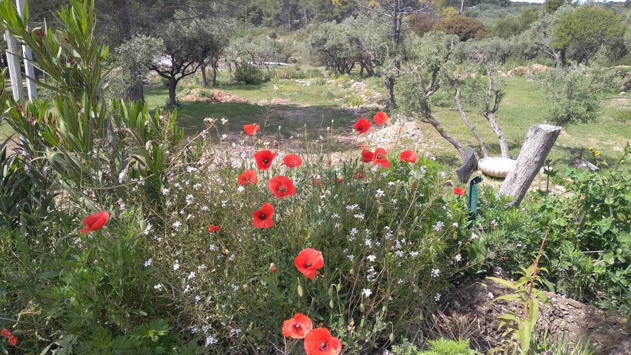 Photo of Outdoor in Mouries