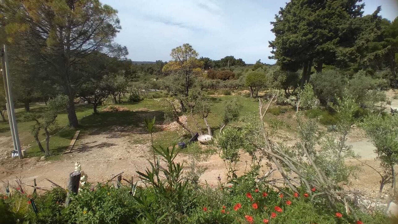Photo of Outdoor in Mouries