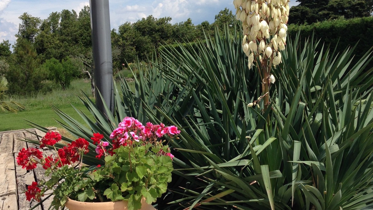 Photo of Outdoor in Cavaillon