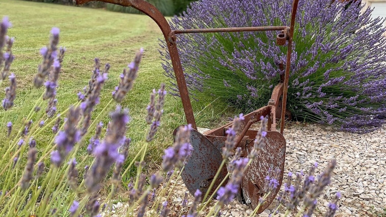 Photo of Outdoor in Cavaillon