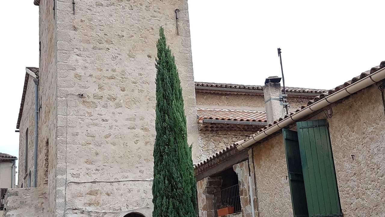Photo of Others in Preconil