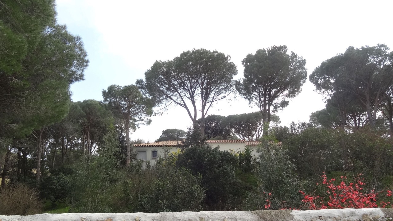 Photo of Outdoor in Preconil