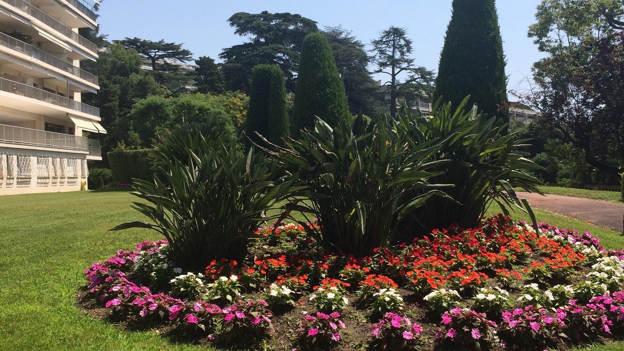 Photo of Outdoor in California - Pezou