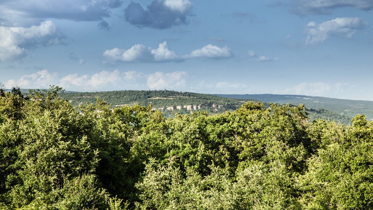 Photo of Others in Castellet