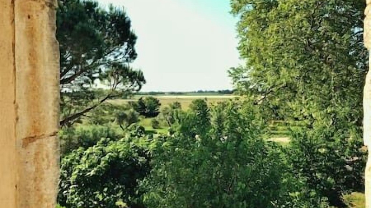 Photo of Others in Marguerittes