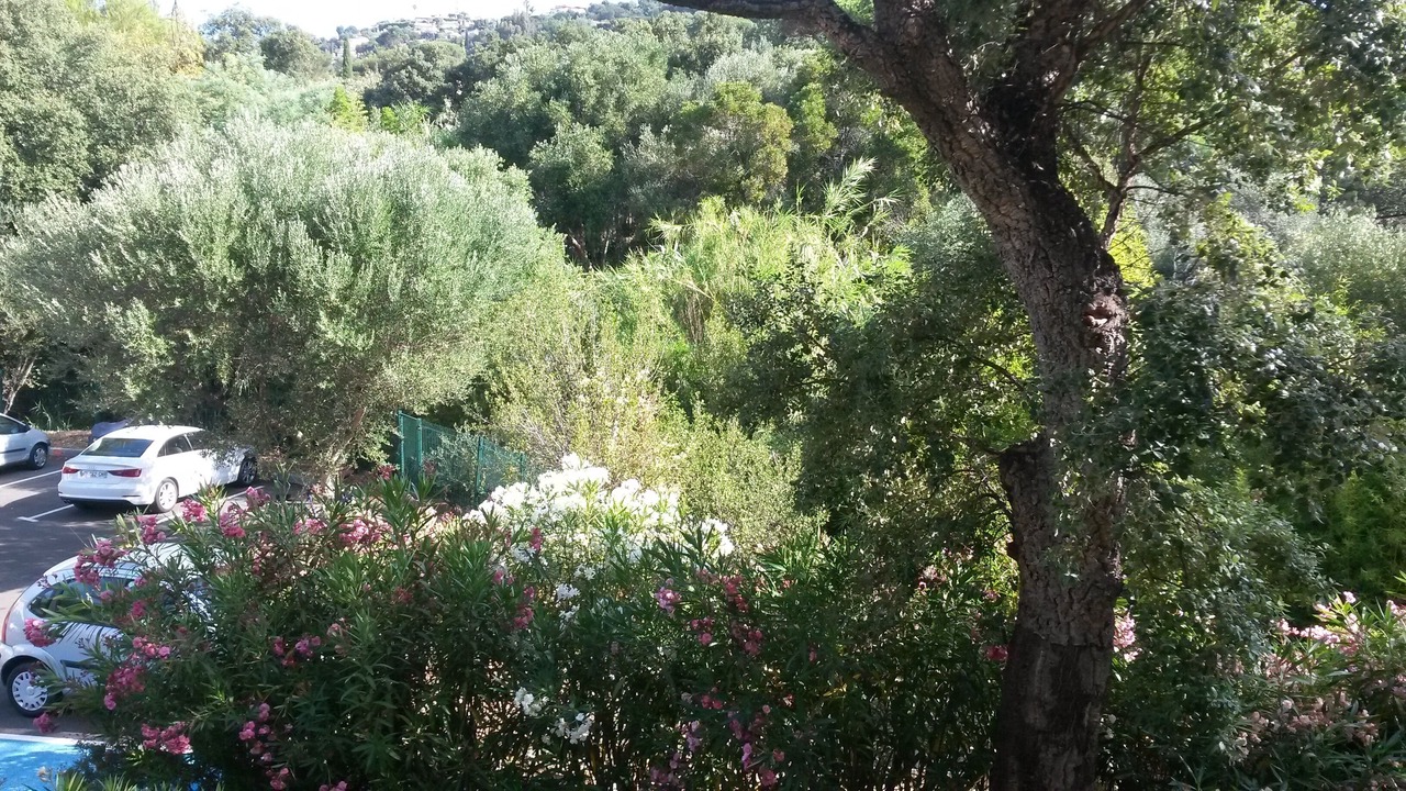 Photo of Outdoor in Cavalaire-sur-Mer