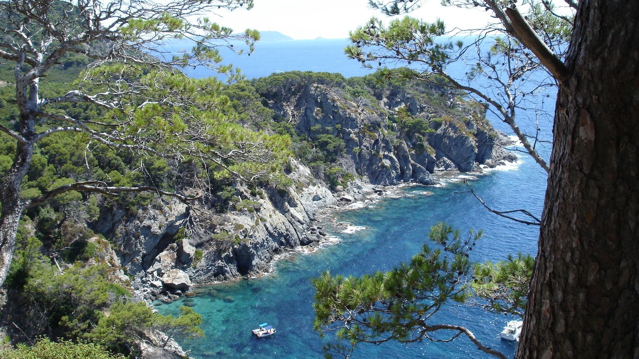 Photo of Others in Cavalaire-sur-Mer