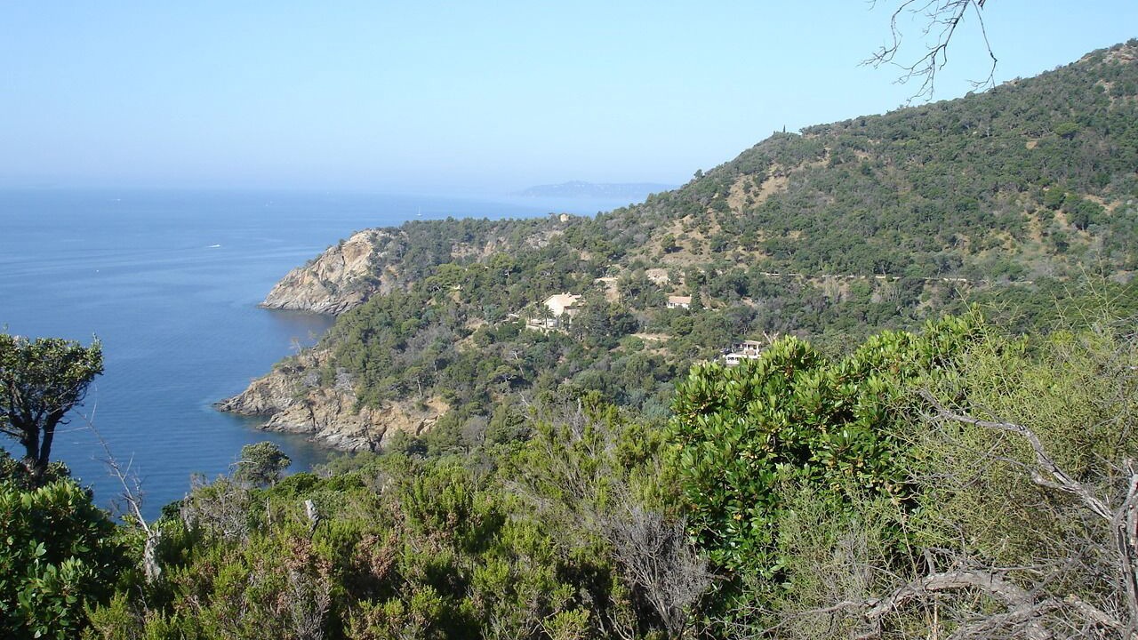 Photo of Others in Cavalaire-sur-Mer