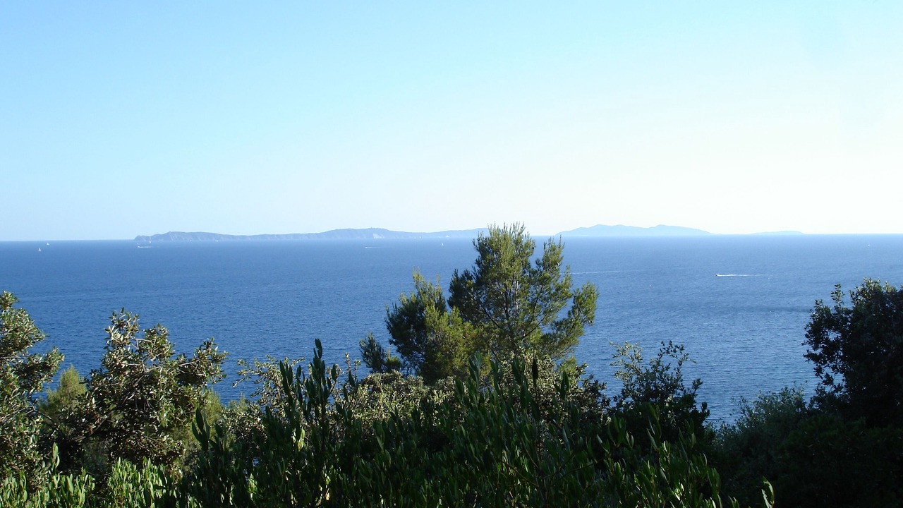 Photo of Others in Cavalaire-sur-Mer
