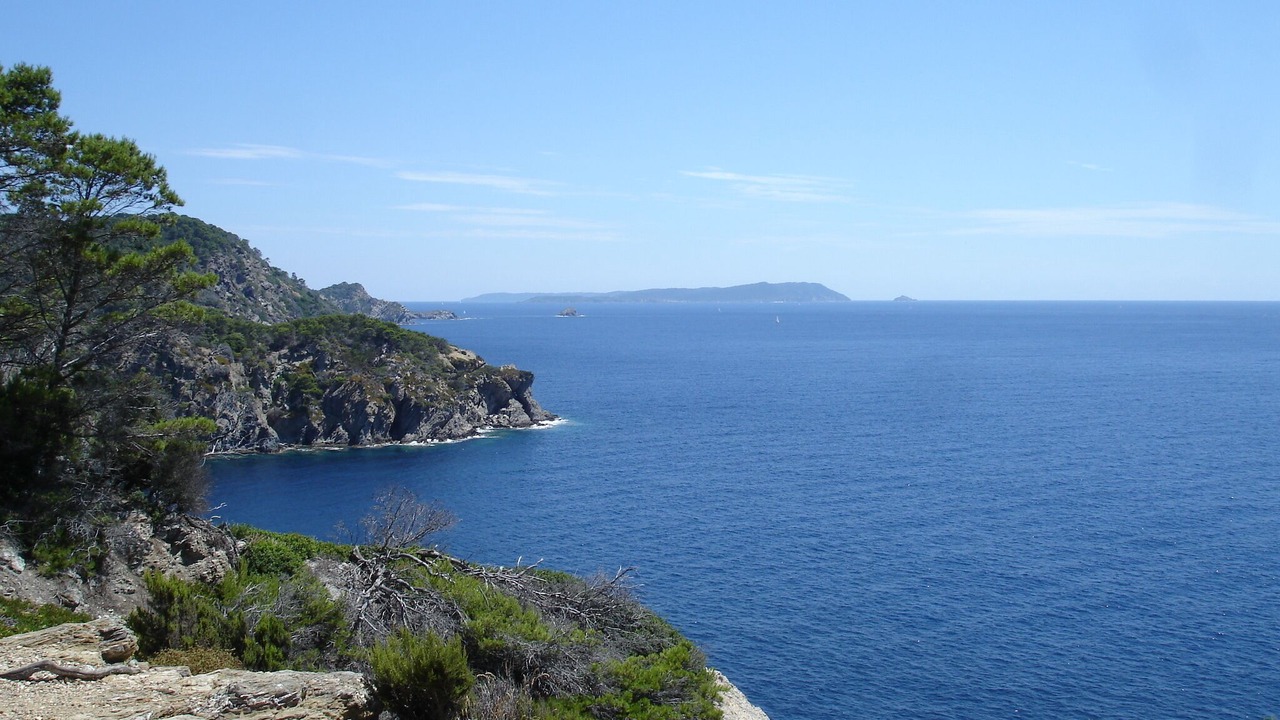 Photo of Others in Cavalaire-sur-Mer
