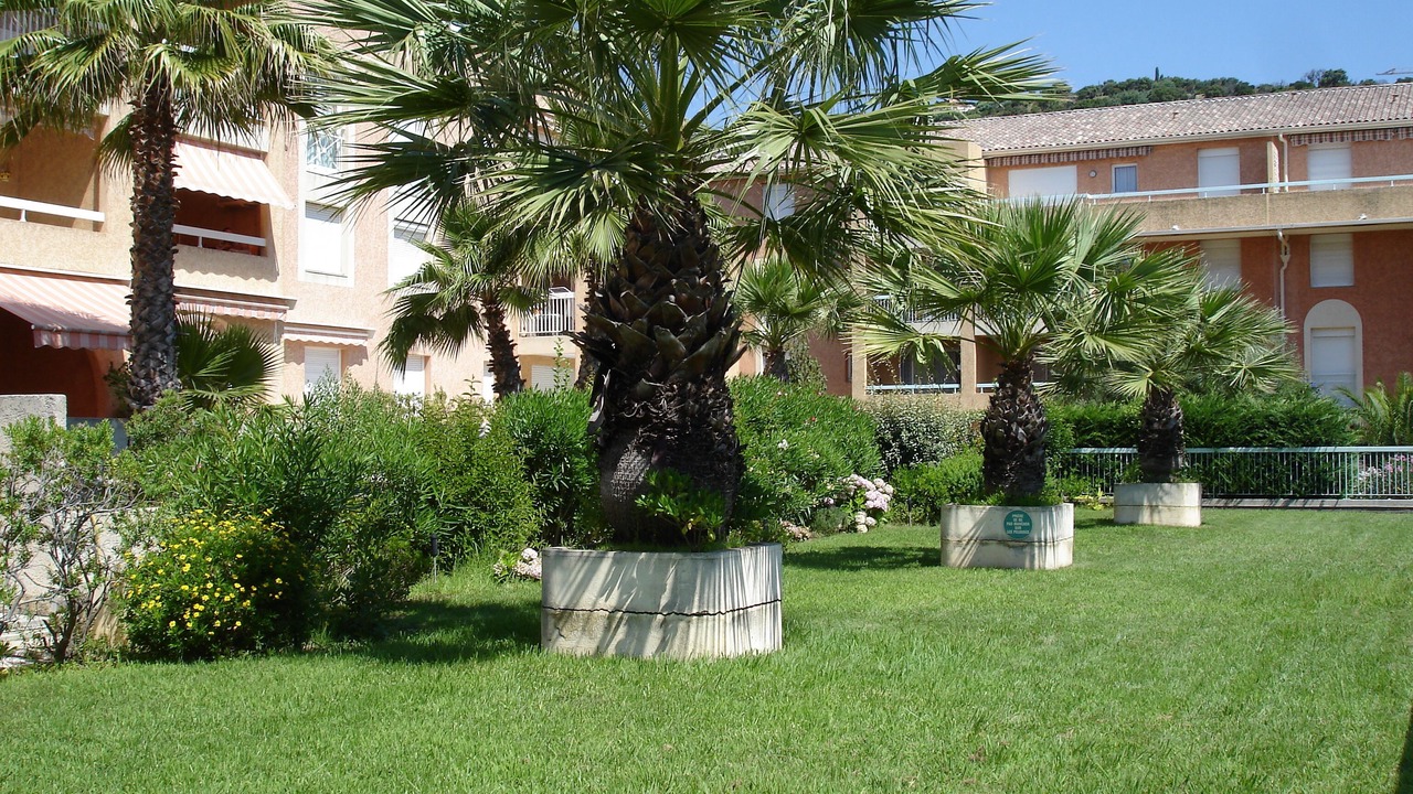 Photo of Outdoor in Cavalaire-sur-Mer