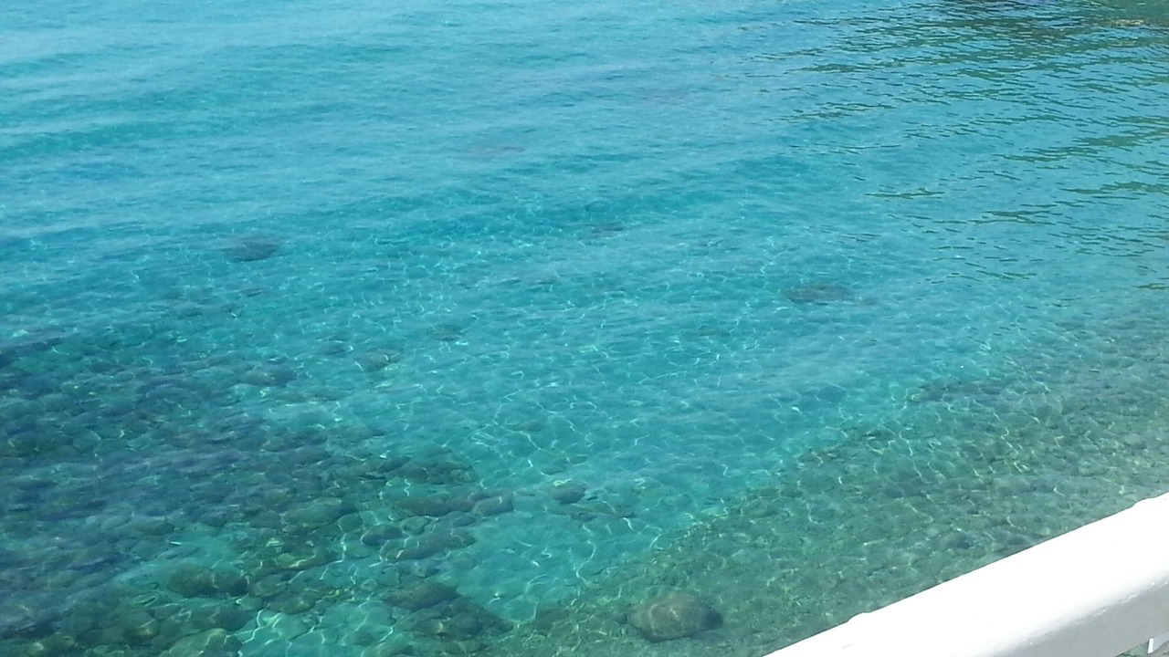 Photo of Others in Alpes-Maritimes