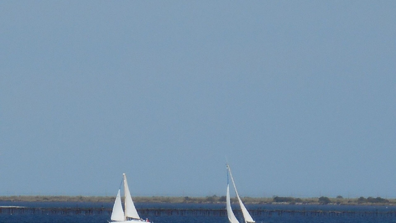 Photo of Others in Marseillan