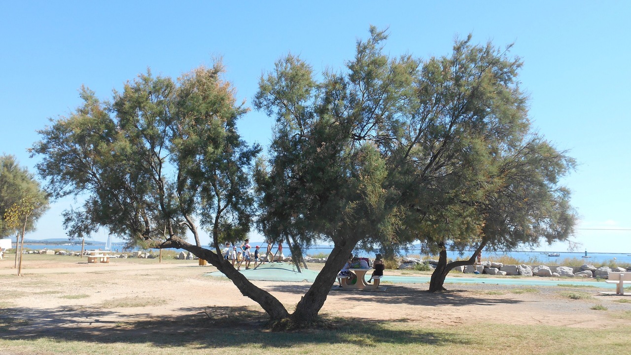 Photo of Others in Marseillan